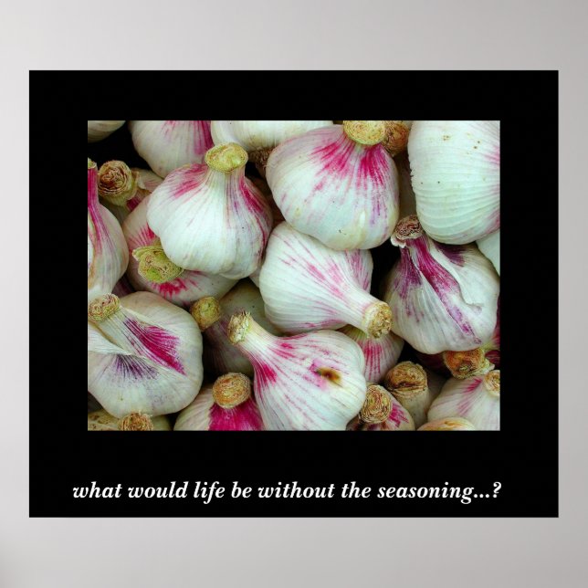 Póster O que seria a vida?.. (Frente)