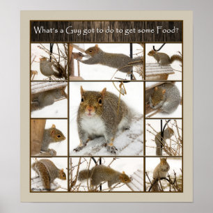 Poster - O que uma cara tem que fazer para consegu