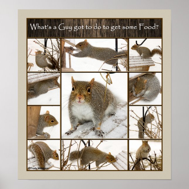 Poster - O que uma cara tem que fazer para consegu (Frente)