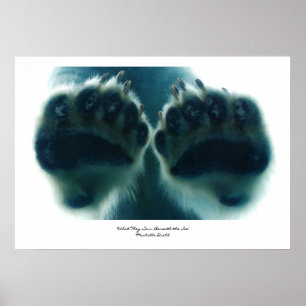 Póster O que viu abaixo do gelo