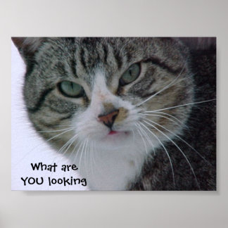 Póster O que você está olhando?!?