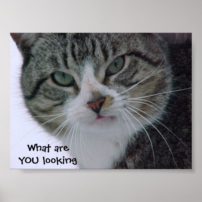 Póster O que você está olhando?!? (Frente)