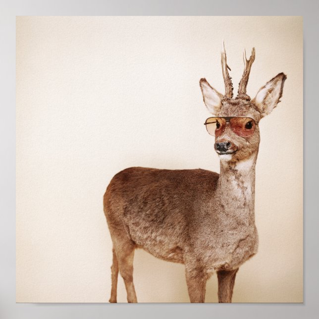 Póster O que você está olhando? (Frente)