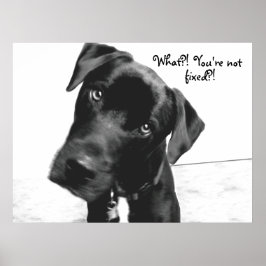 Póster O quê? Você não está, consertado?