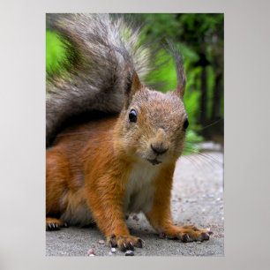 Poster O Que Você Tem?