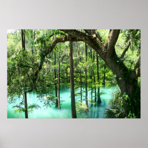 Póster O rádio mágico salta parque