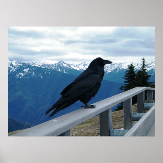 Póster O Raven (Frente)