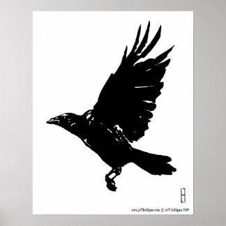Póster O Raven