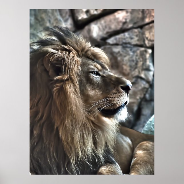 Póster O Rei (Frente)