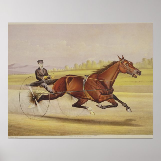 Póster O Rei do Turf, Rua. Julien', Dirigida por Orri (Frente)