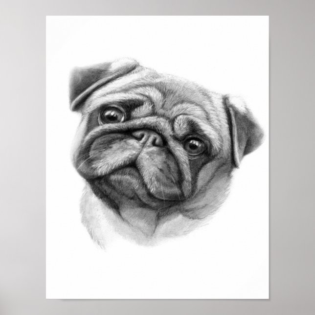 Poster O Retrato Pug | Rosto Cachorro (Frente)