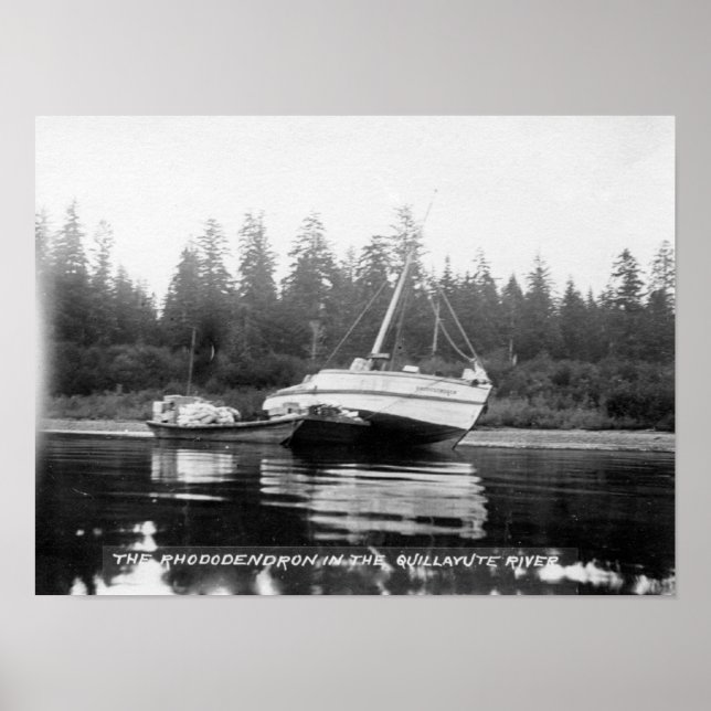 Poster O Rhododendron no rio Quillayute (Frente)
