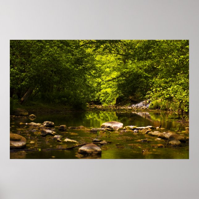 Póster O riacho (Frente)