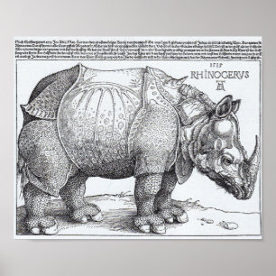 Poster O rinoceronte de Dürer