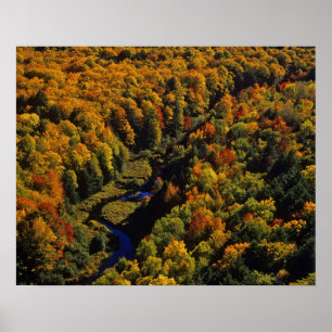 Póster O Rio Grande Carpa no outono em Porcupine
