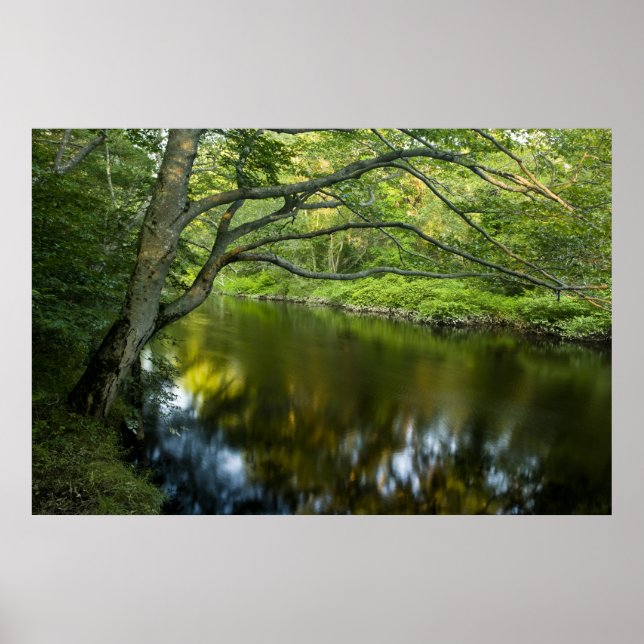 Póster O rio Taunton em Bridgewater, (Frente)