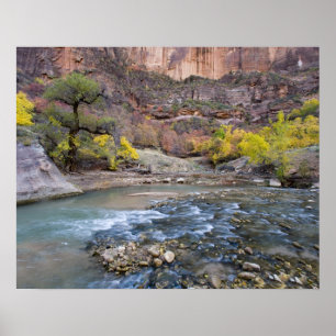 Póster O rio Virgin, no outono, no Parque Nacional de Zio