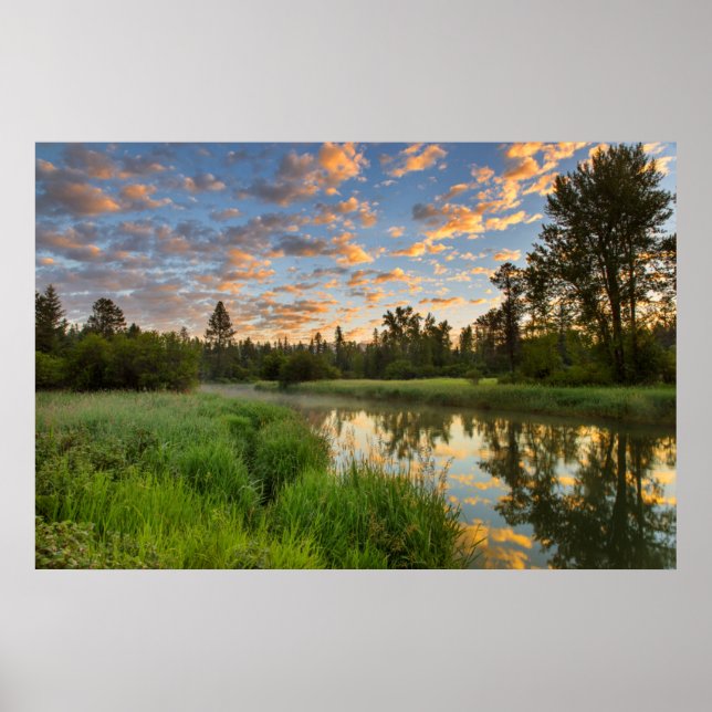 Póster O rio Whitefish com belas nuvens ao nascer do sol (Frente)