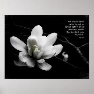 Poster O risco à flor