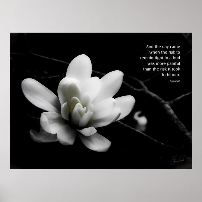 Poster O Risco de Bloom (Frente)