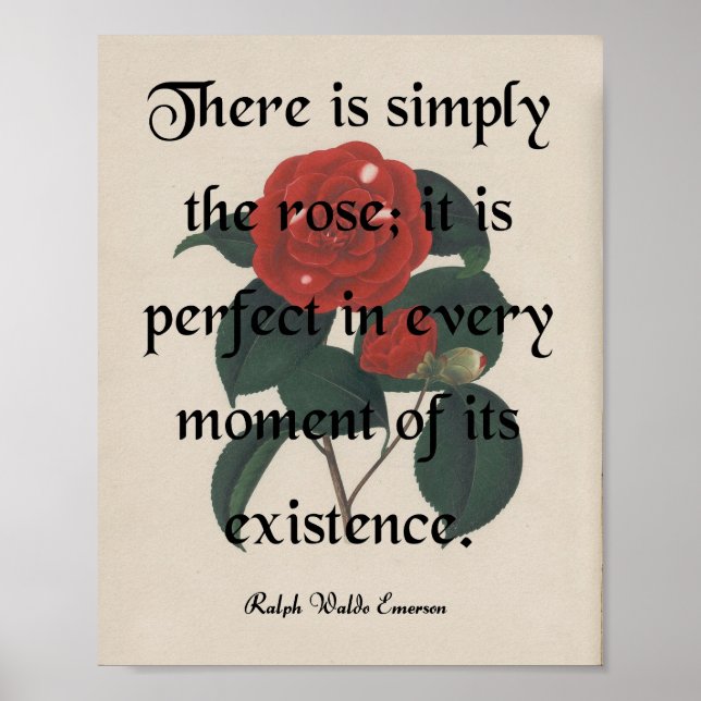 POSTER O ROSA (Frente)