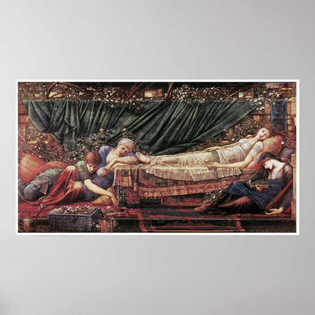 Póster O Rosa Briar: O Rosa (Frente)