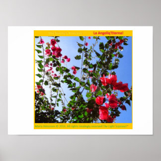 Póster O Rosariankrantz da Lâmpada Aurorária! *