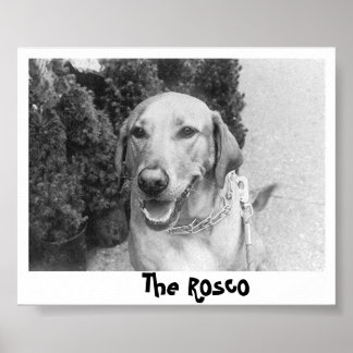 Poster O Rosco