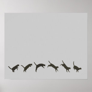 Póster O salto dos gatos