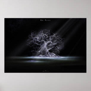 Poster O segredo 2