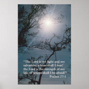 Poster O senhor é minha luz