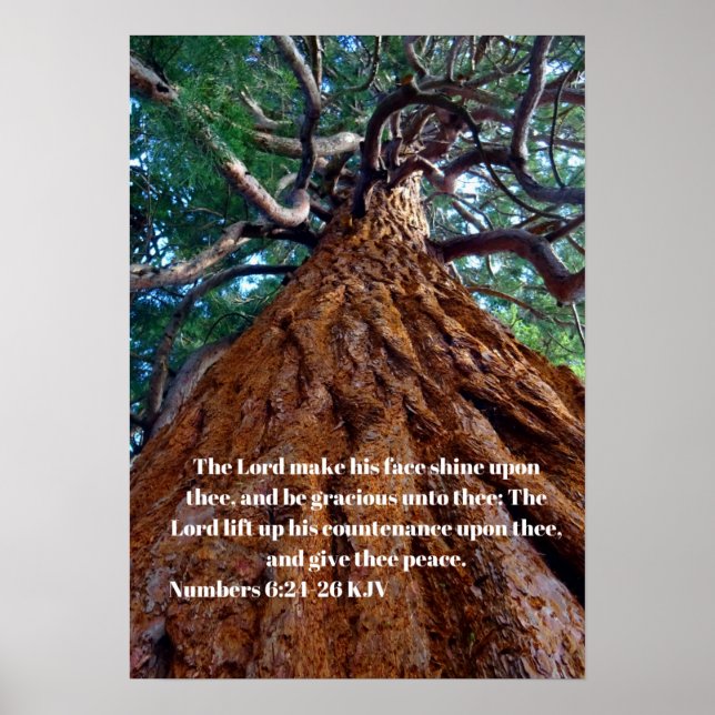 Poster O Senhor faz seu rosto brilhar, elevando (Frente)