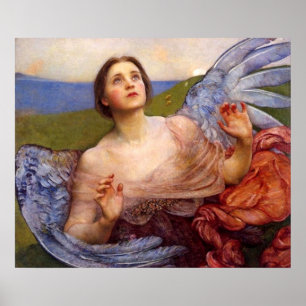 Póster O Sentido da Visão