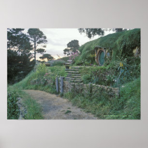 PÓSTER O SHIRE™