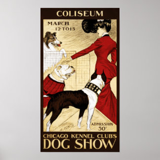 Poster O show de cães