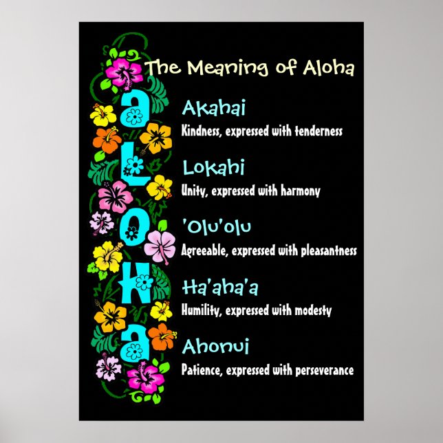 Poster O Significado de Aloha (Frente)