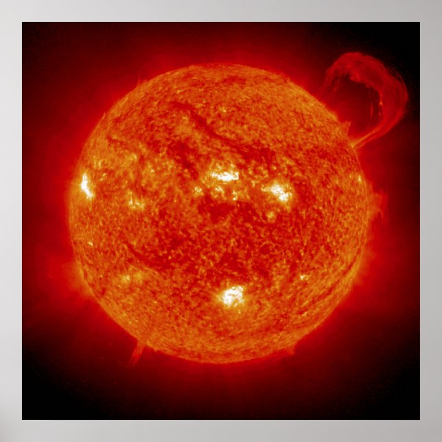 Póster O Sol (Frente)