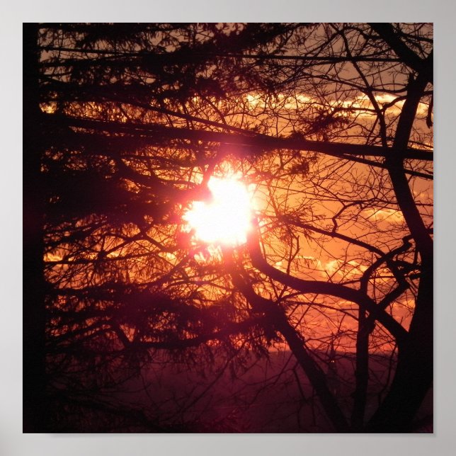 Póster O Sol de Inverno (Frente)