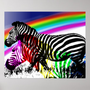 Póster O sonho das zebras 'vem verdadeiro