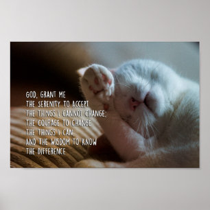 Poster O sono calmo do gato da oração da serenidade