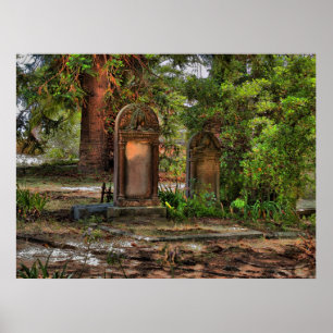 Póster O sono longo