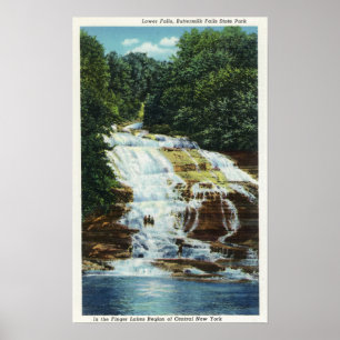 Póster O soro de leite coalhado cultiva o parque estadual
