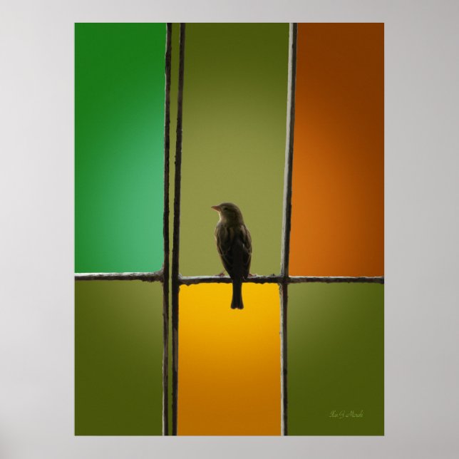 Poster O Sparrow (Frente)