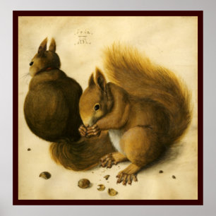 POSTER O SQUIRREL COM LOUCOS