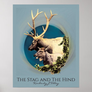 Poster O Stag e o Hind