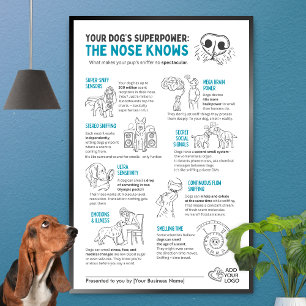 Poster O Superpoder do Seu Cachorro - O nariz sabe