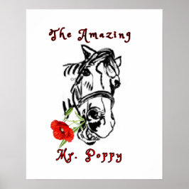 POSTER O SURPREENDENTE SR. POPPY