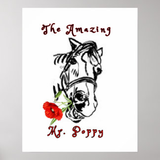 POSTER O SURPREENDENTE SR. POPPY