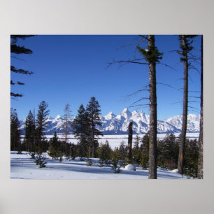 Póster O Tetons em fevereiro