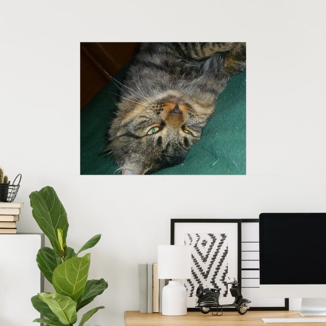 Póster O Tig (Escritório em casa)